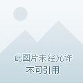 异界的神奇宝贝