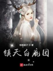 白鹿镇512