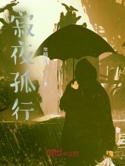 孤夜寂寥的意思