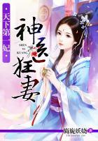 天下第一妃神医狂妻TXT