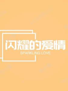 闪烁的爱情插曲