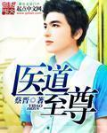 医道至尊续集