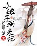 小娘子驯夫记迷路的龙全文免费阅读