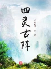 四灵阵布局
