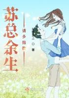 余生请多指教苏简安