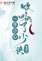 一不小心攻略了男主!