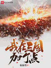 我在三国加了点