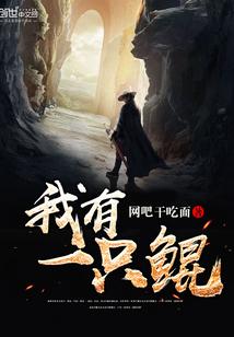 我有一只总